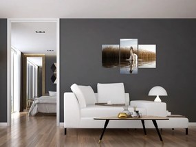 Tablou cu lebăda (90x60 cm)