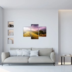 Tablou peisajului (90x60 cm)