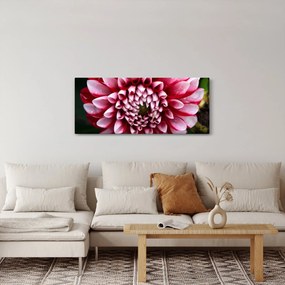 Tablou cu dalie roz (120x50 cm)