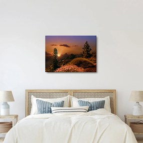 Tablou naturii cu apus de soare (70x50 cm)