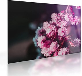 Tablou pe sticlă cu florile copacilor (70x50 cm)