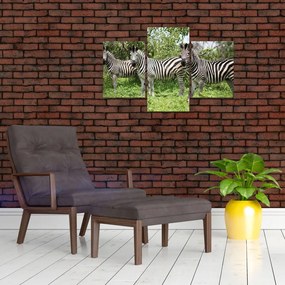 Tablou cu zebre (90x60 cm)