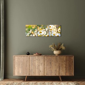 Tablou - Margarete (cu ceas) (90x30 cm)