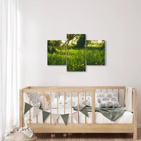 Tablou cu natura - lunca (90x60 cm)