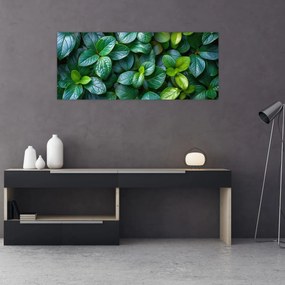 Tablou - Plante verzi (120x50 cm)