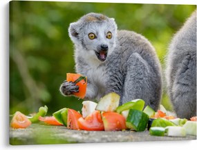 Tablou cu lemur (70x50 cm)