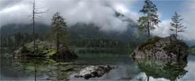 Tablou cu pomi în lac (120x50 cm)