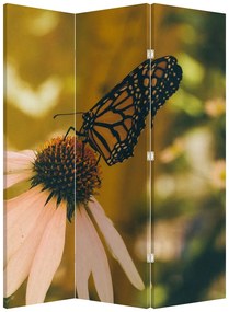 Paravan - Fluture pe floare (126x170 cm)