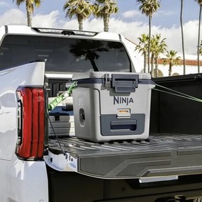 Lada frigorifica Ninja FrostVault FB131EUGY, 28 l, Pasiva, 48 doze, Pastreaza gheata pana la 5 zile, Compartiment uscat, Gri
