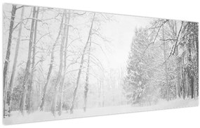 Tablou - Pier de lemn în timpul iernii (120x50 cm)