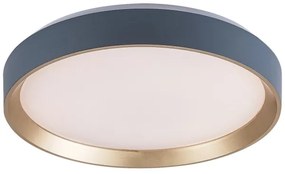 Plafonieră LED Rabalux 71185 LIATRIS LED/25W/230V 3000K d. 38 cm