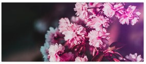 Tablou cu florile copacilor (120x50 cm)