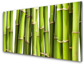 Tablouri acrilice Bamboo Canes Floral Verde