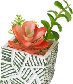 Plante artificiale 3 buc. (înălțime 12 cm) Cactus – Casa Selección