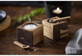 Set solniță și piperniță – Holm