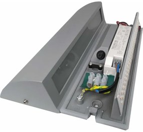 LED Aplică perete LED/10W/230V IP54