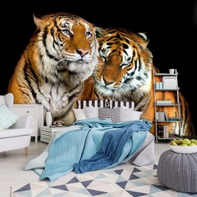 Fototapet - Tigri (152,5x104 cm)