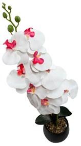Floare decorativă în ghiveci, orhidee albă interior roz