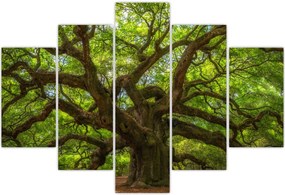 Tablou - Copac verde (150x105 cm)