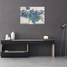 Tablou - Vincent van Gogh, Irises, reproducere (70x50 cm)