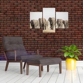 Tablou - Turmă de elefanți (90x60 cm)