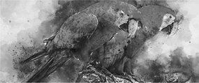 Tablou - Acuarelă papagali (120x50 cm)