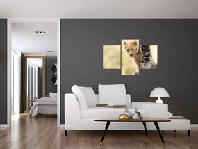 Tablou cu pui de leu (90x60 cm)