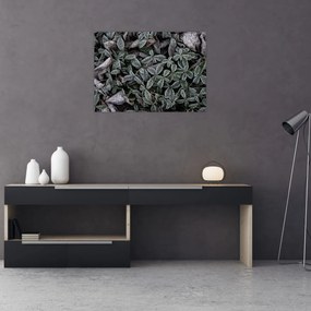 Tablou pe sticlă - Plante înghețate (70x50 cm)