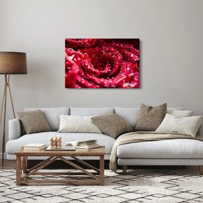 Tablou cu floarea trandafirului roșu (90x60 cm)