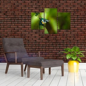 Tablou cu păun (90x60 cm)