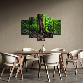 Tablou - Copac bătrîn cu rădăcini (150x105 cm)