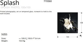 Tablou decorativ, imagine imprimata pe sticla calita Splash 100x100cm SV-719360