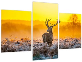 Tablou - Cerb la răsăritul soarelui (90x60 cm)