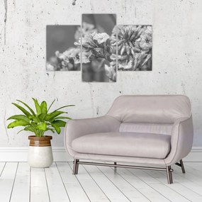 Tablou - Flori uscate (90x60 cm)