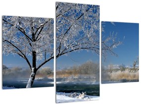 Tablou - peisaj înghe?at de iarnă peisaj (90x60cm)