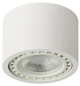 Spot aplicat de tavan/plafon ECO ALIX NEW alb ZZ AZ3492