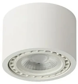 Spot aplicat de tavan/plafon ECO ALIX NEW alb ZZ AZ3492