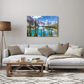 Tablou - Parcul Național Banff (90x60 cm)