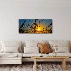 Tablou - Apus de soare pe pajiște (120x50 cm)