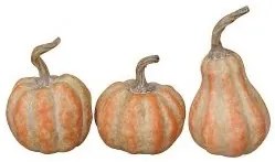 Decoratiune Pumpkin - modele diverse