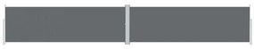 Copertina laterala retractabila, antracit, 160x1000 cm Antracit, 160 x 1000 cm