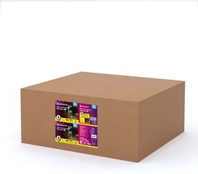 Aigostar-LED Decorațiune de exterior LED/3,6W/31/230V 2700K 90/45cm IP44 ren cu sanie