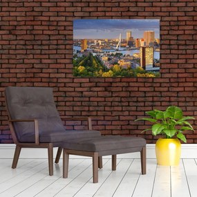 Tablou - Panorama Rotterdamului, Țările de Jos (90x60 cm)
