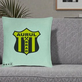 Perna Personalizata Aurul Brad Fotbal, 40x40 cm, Verde Menta, Husa Detasabila, Perna Inclusa, BEKZ®