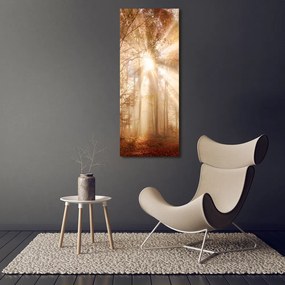 Imprimare tablou canvas Pădure în toamna