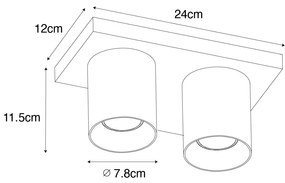 Plafoniera moderna cu spoturi negre cu 2 lumini - Tubo