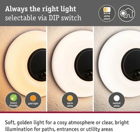Paulmann 94956 - LED/20,5W IP65 Aplică de perete pentru exterior, reglabilă AUREVA 230V