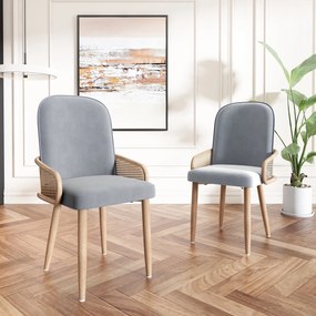 Set de 2 scaune moderne tapițate în ratan și material cu efect de catifea, Gri