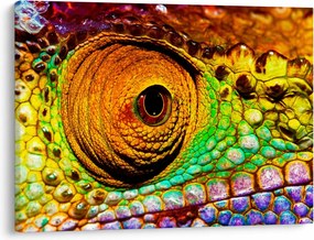 Tablou - Cameleon (70x50 cm)