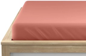 Cearsaf Jersey staroroz 160 x 200 cm